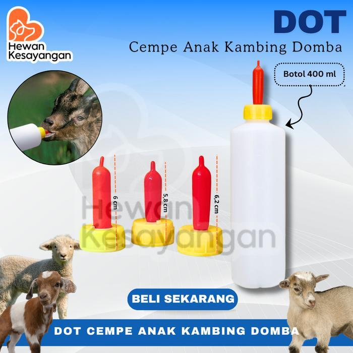 Dot Botol Cempe Dot Anak Kambing Domba dll
