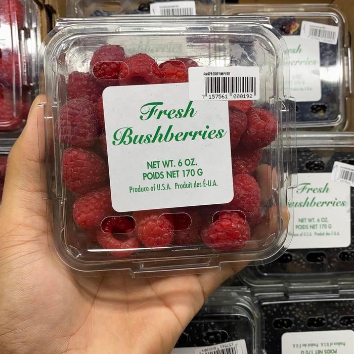 Raspberry usa fresh Buah raspberry fresh import 170grm