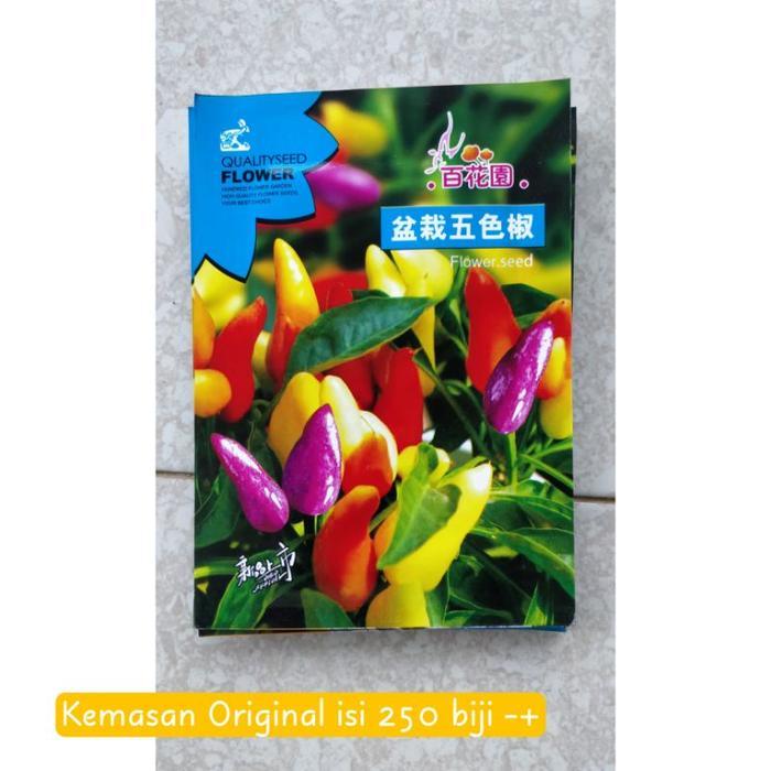 Najwa Gadget Benih Cabe Hias Numex Rainbow Pelangi 250 Benih Tanaman Cabai