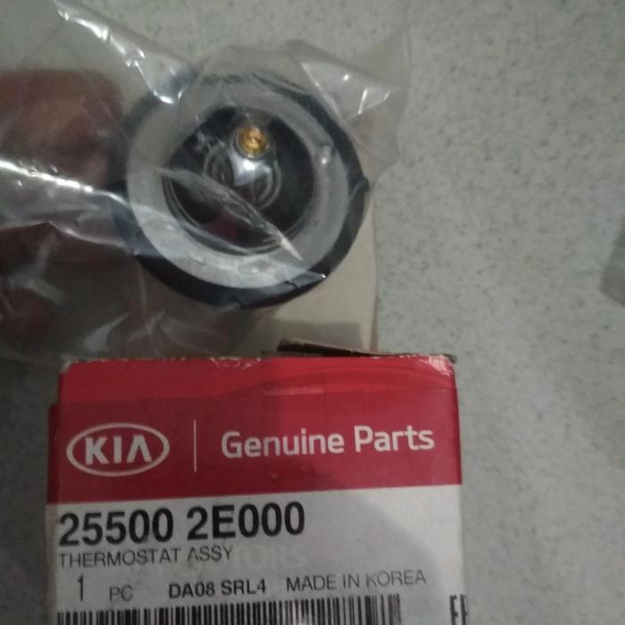 Thermostat Kia Sportage 2