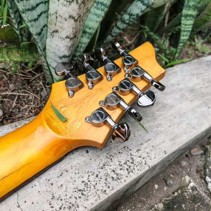 Gitar Schecter C-8 Deluxe 8 String - IM