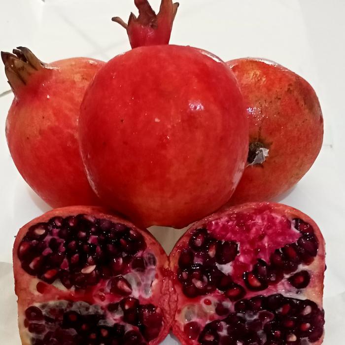 Buah Delima Merah Import Mesir Egypt Harga Pergardus Buah-Buahan Segar Terlaris