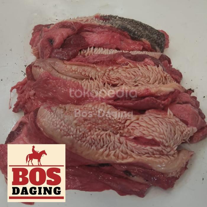 DAGING CINGUR PIPI KEPALA SAPI 1KG DIJAMIN FRESH SEGAR