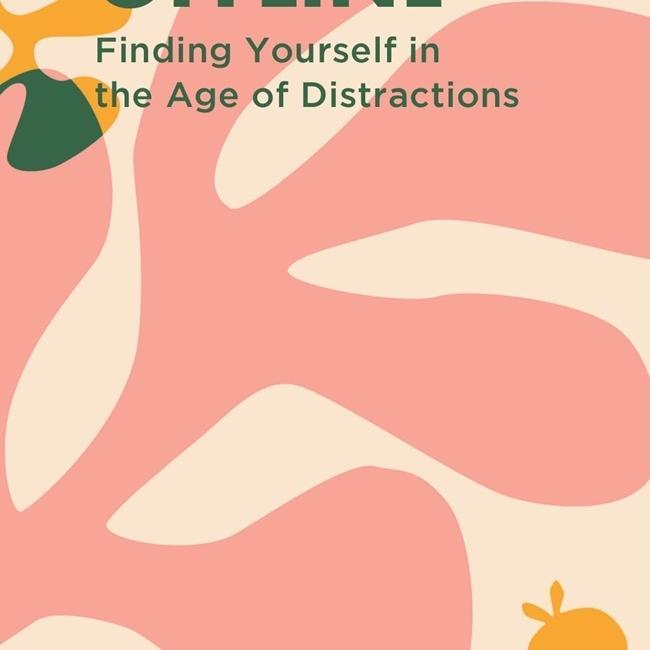 Ready Offline Finding Yourself In The Age Of Distractions Desi Anwar