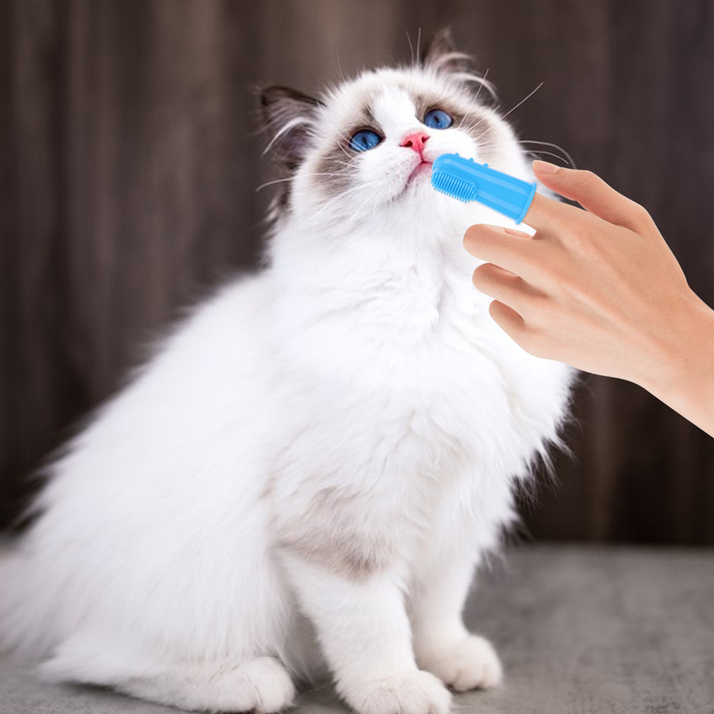 6PCS Pet Grooming Kit Silicone Dog Bath Brush Dog Toothbrush Finger Dog Bath Gloves Dog Shampoo