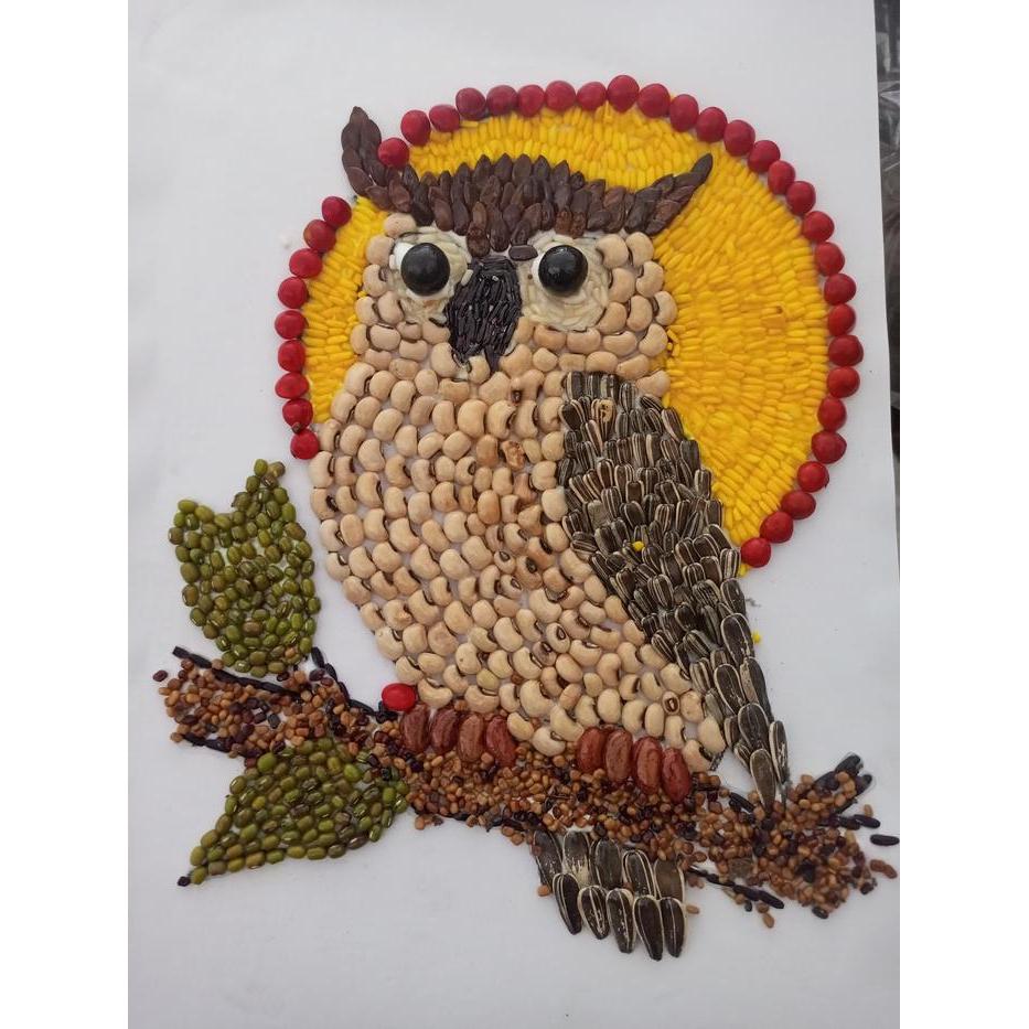 Kolase Burung Hantu Kerajinan Biji-Bijian Pendidikan