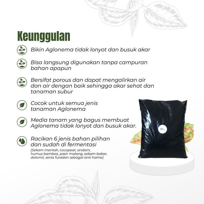 GARDEN" MEDIA TANAM AGLONEMA FERMENTASI MEDIA TANAM PREMIUM AGLONEMA TANAMAN