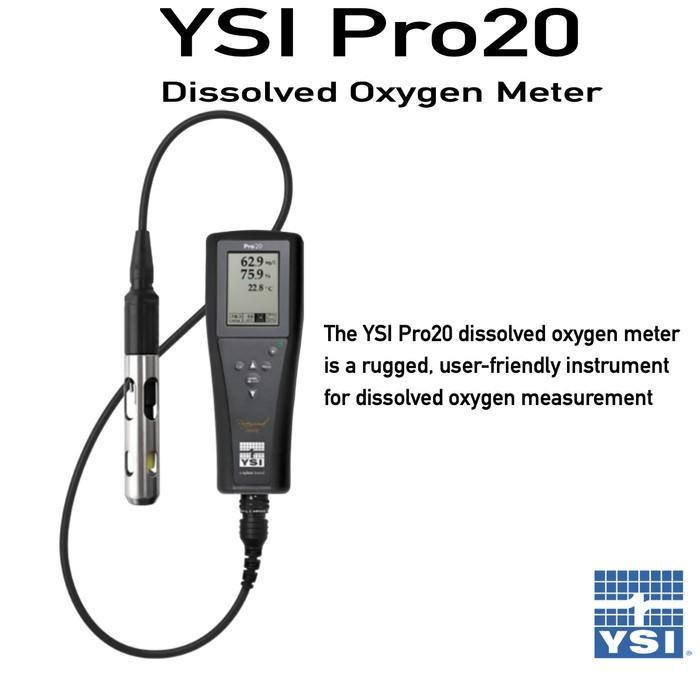 YSI Pro20 DO Meter / Dissolved Oxygen Meter Pro 20