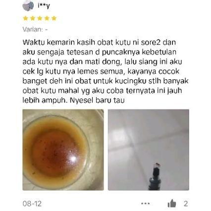 NANO KUTU OBAT KUTU TETES UNTUK KUCING BAYI KITTEN DEWASA DAN INDUK HAMIL MENYUSUI