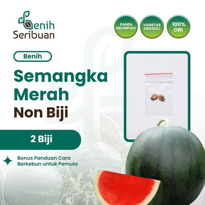 2 Benih Semangka Non Biji Madrid F1 Hibrida Benih Buah Tanpa Biji
