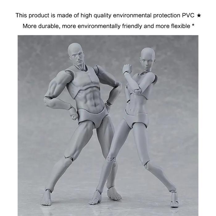 Figuart Body Kun / SHF Body Kun / Action Figure Model Male Female Body Archetype Model
