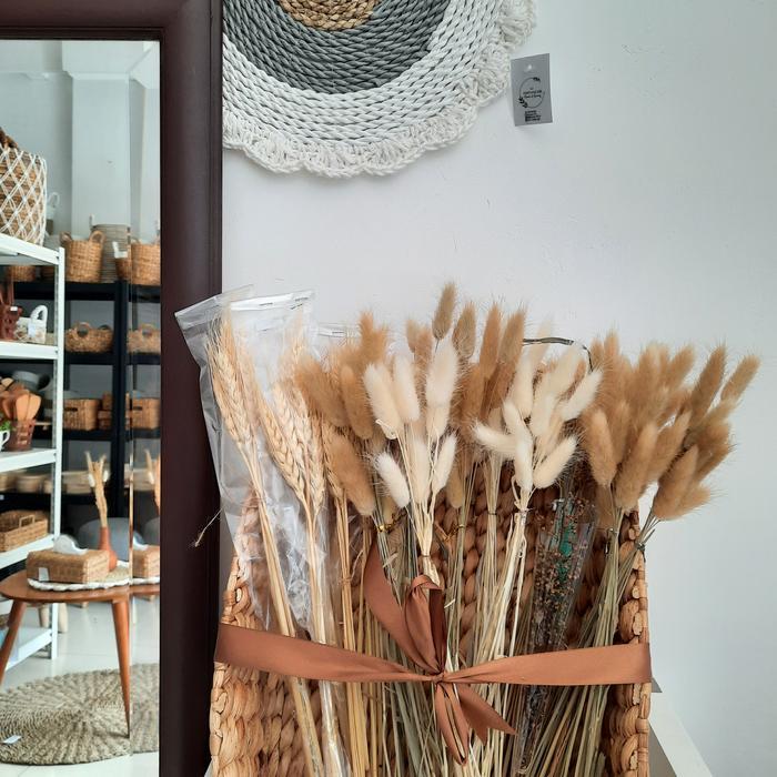 Bunga Hias / Bunga Kering / Bunga Bunny / Bunga Gandum