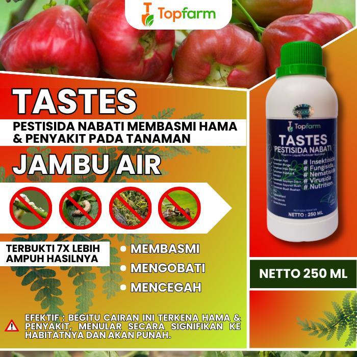 "New" PESTISIDA UNTUK POHON JAMBU AIR / PESTISIDA KHUSUS TANAMAN JAMBU AIR / PESTISIDA BUAH JAMBU