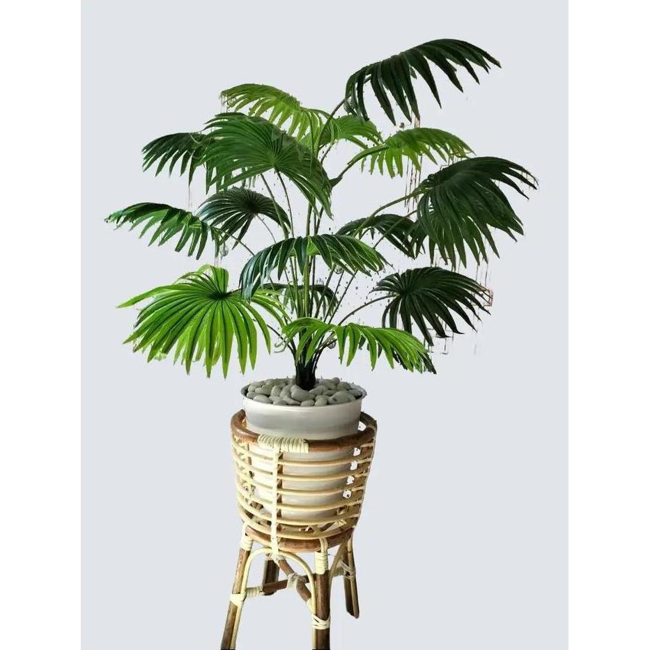 Top Standing Pot Hiasan Rumah Untuk Dudukan Tanaman Dari Bahan Rotan Yang Kuat Alami