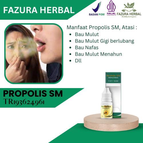 Propolis SM - Obat Bau Mulut Dan Nafas, Obat Bau Mulut Menahun