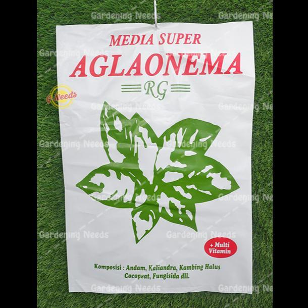 Media Tanam Super Aglonema / Aglaonema / Aglo Siap Pakai