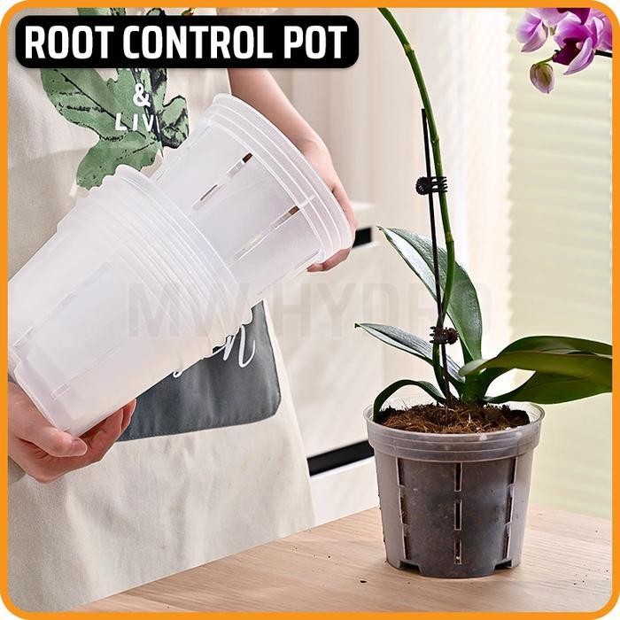 Thick Transparent Root Control Pot for Orchid Pot Anggrek Transparan Tebal