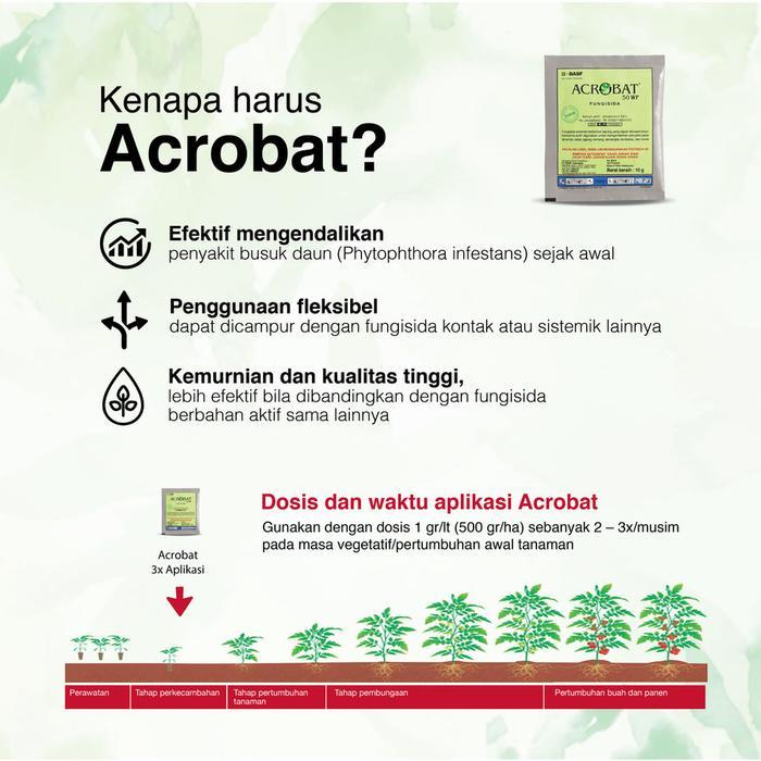 "New" Acrobat 50 WP (40gr) - Fungisida Sistemik Untuk Layu Fusarium Jamur