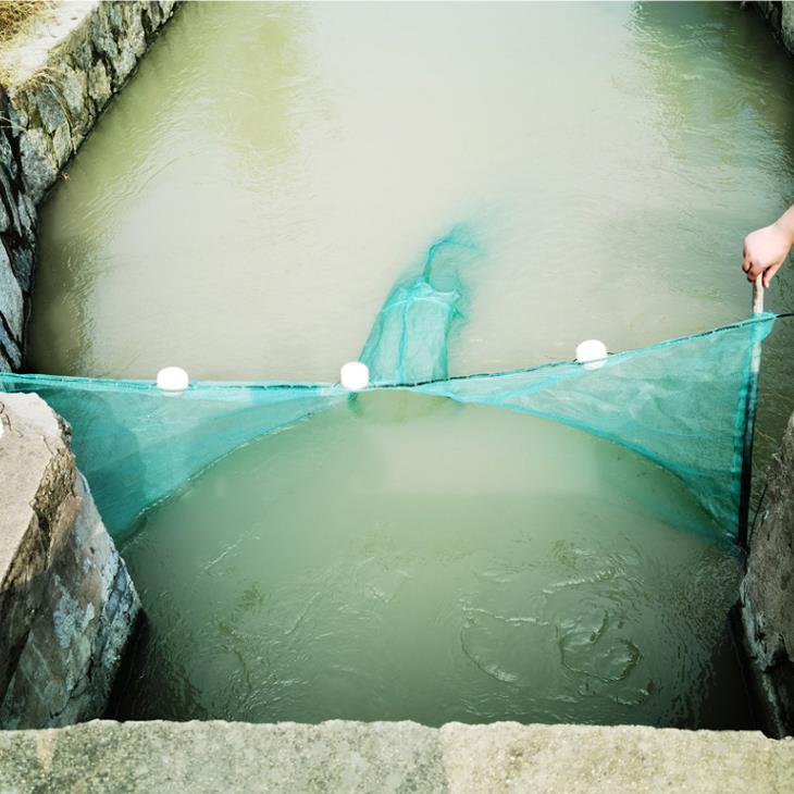 Foldable Automatic Throw Gillnet Fishing Net Crab Lobster Shrimp Minnow Fishing Bait Landing Net