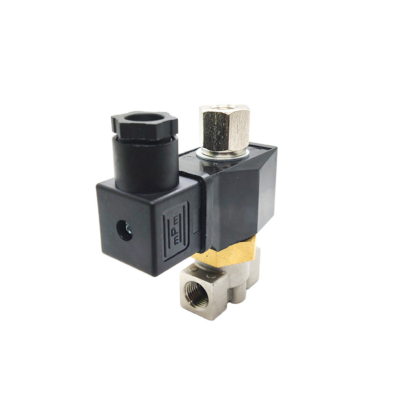 1/8" 1/4" stainless solenoid valve Normally Open Stainless Steel Solenoid Valve 110V 220V 12V 24V
