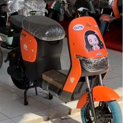 sepeda listrik promo murah