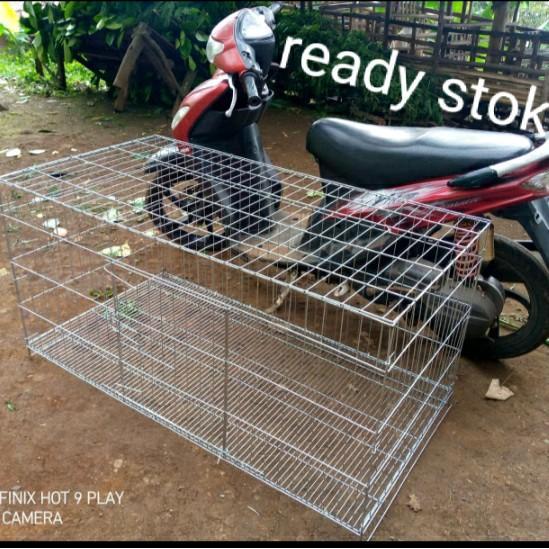 kandang kucing ukuran 100x60x60