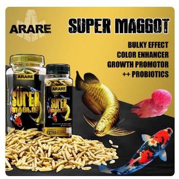 ARARE super maggot series BSF larva kering pakan makanan ikan predator