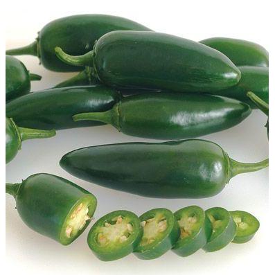 Najwa Gadget Benih Cabe Jalapeno Hibrida Fanatic 5 Gram Known You Seed Tahan Penyimpanan &