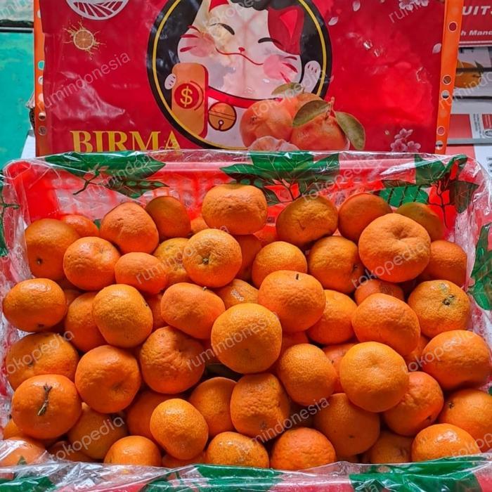 jeruk santang Birma 1 keranjang krat / jeruk Santang Birma 1 krat