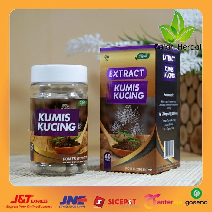 KAPSUL KUMIS KUCING