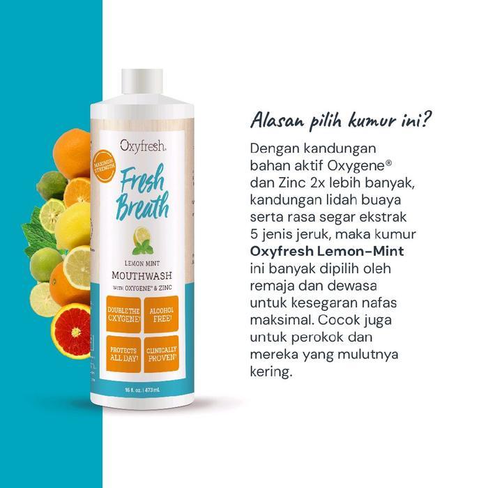 Oxyfresh Obat Kumur LEMON 473ml Fresh Breath Oxyfresh Lemon Mouthwash