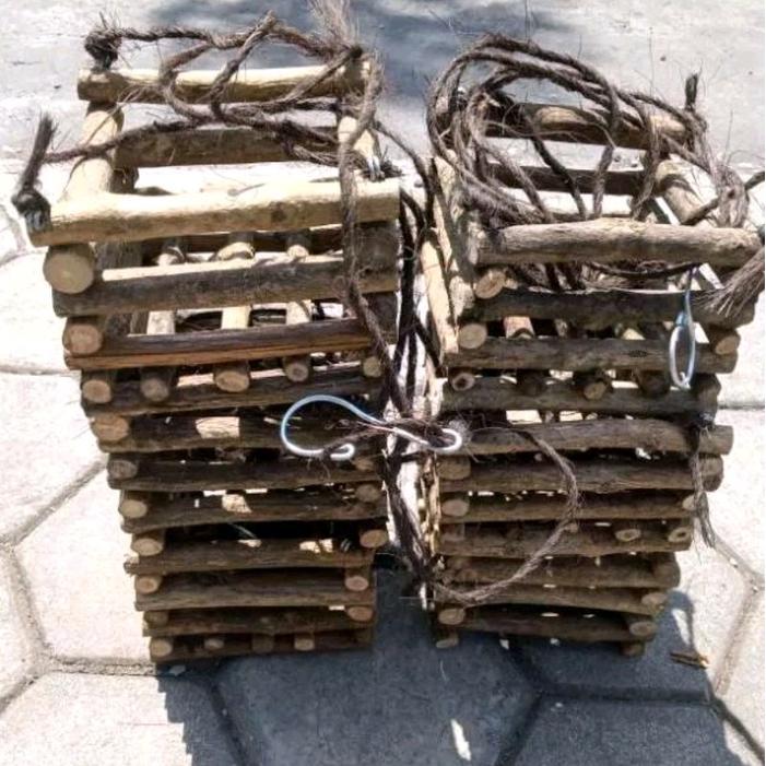 pot anggrek dari batang kayu kopi D10 & D15