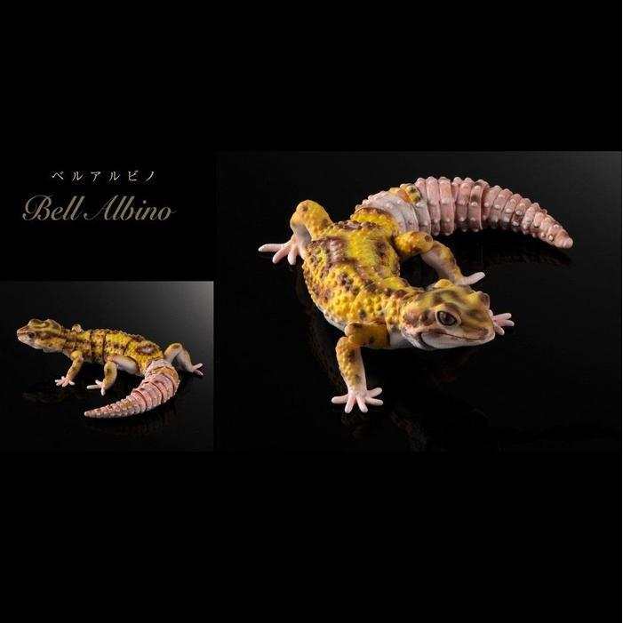 Ready [Bandai] Gashapon Premium Advance Leopard Gecko - Bell Albino