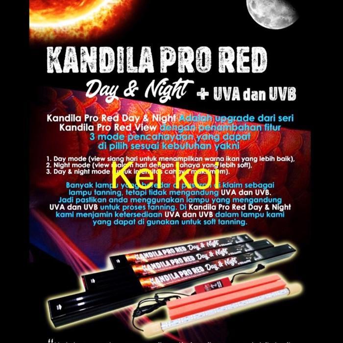 KANDILA PRO RED DAY & NIGHT 800