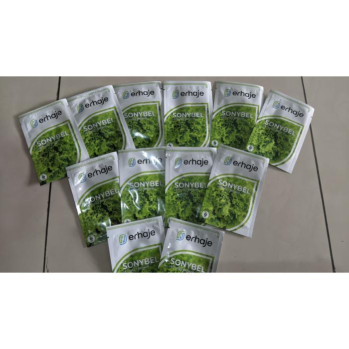 Benih Bibit Selada Batavia Sonybel 1gr - Bejo Seed