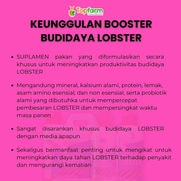 VITAMIN LOBSTER CEPAT BESAR/ VITAMIN BUDIDAYA LOBSTER/ VITAMIN PENAMBAH NAFSU MAKAN LOBSTER /