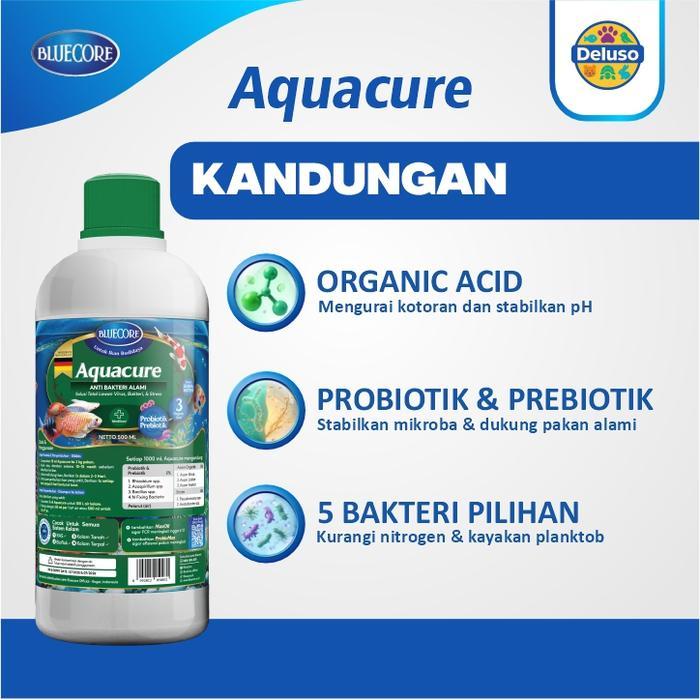 BLUECORE AQUACURE ANTIBIOTIK ALAMI IKAN ANTI JAMUR ANTI BAKTERI VIRUS GURAME LELE NILA PATIN KOI