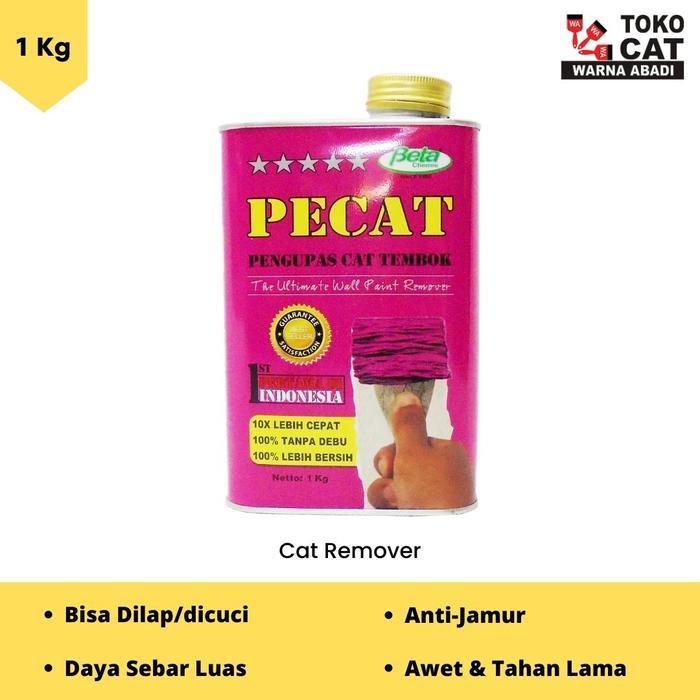 Pengelupas Cat Tembok Pecat 1 Kg