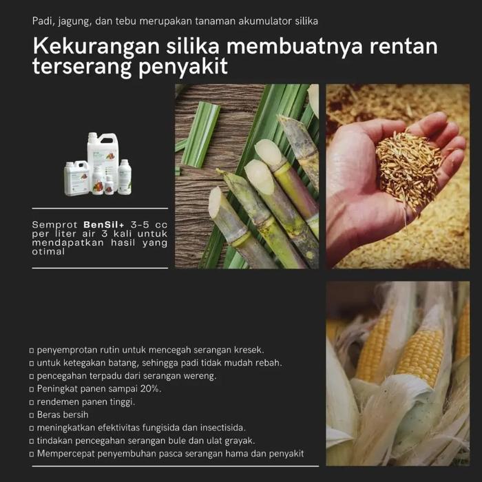 Bensil+ Beneficial Silika + Kalium 1 Liter Pupuk Cair Silika + Kalium Terjamin