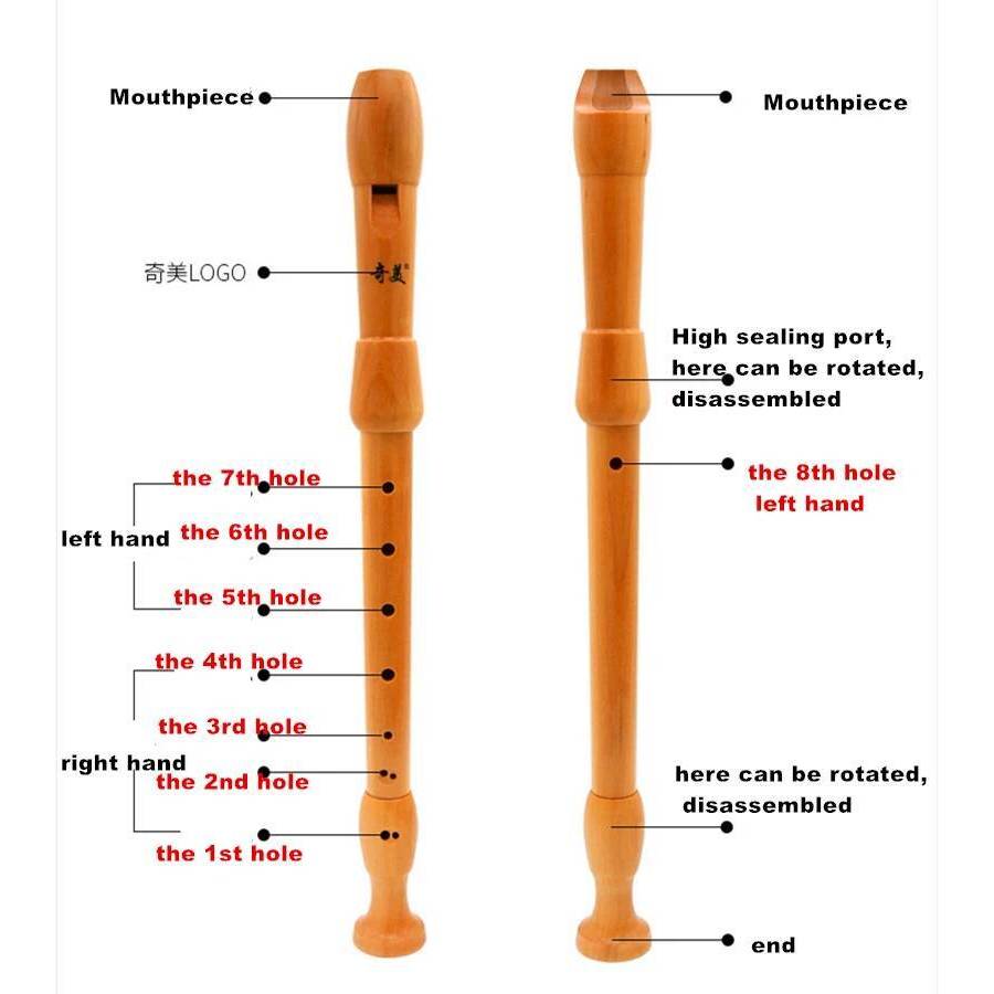 Qimei 8 Holes Alto Recorder Musical Instruments Maple Wood Flute German Style English Style Alto