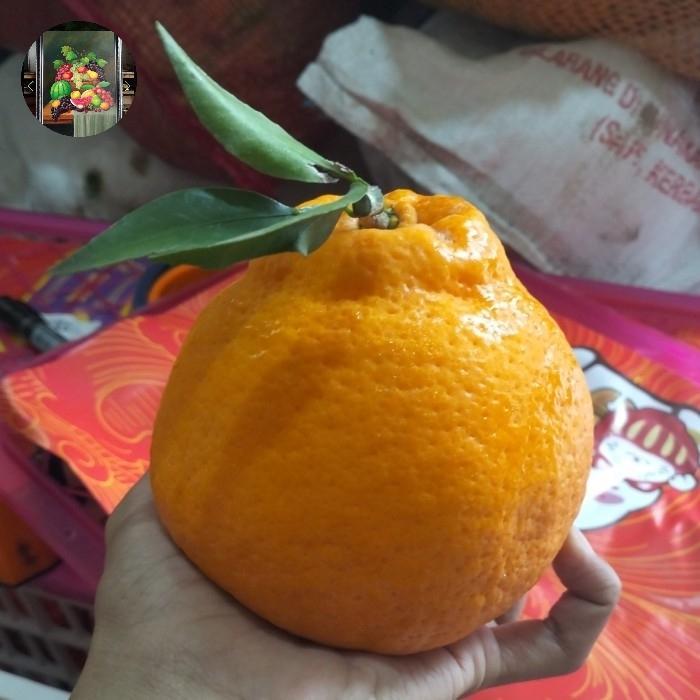 jeruk dekopon 1kg buah jeruk papakan Buah Manis