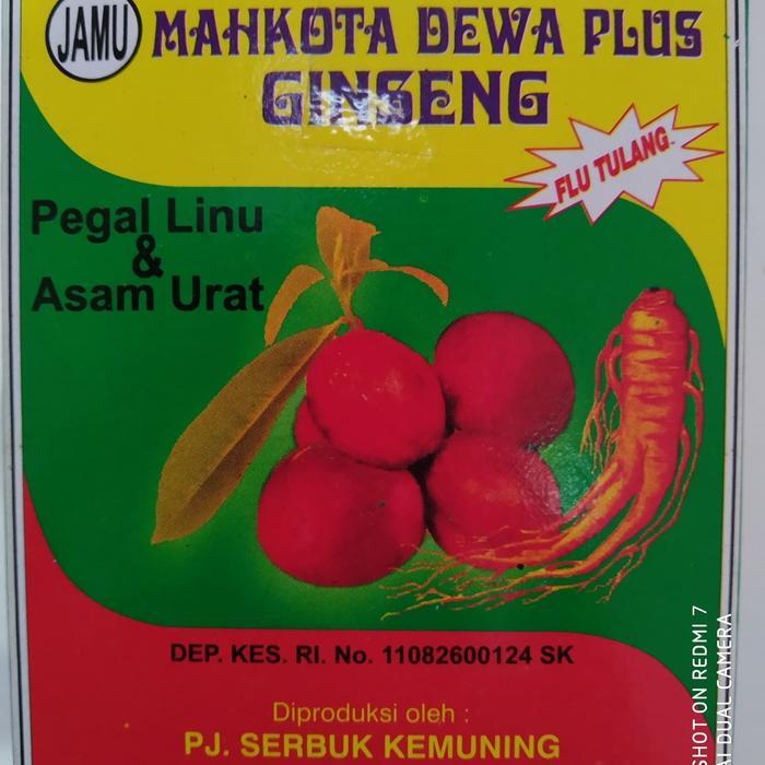 Jamu Mahkota Dewa Flu Tulang