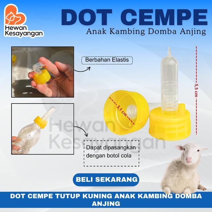 Dot Cempe Anak Kambing Domba Anjing Hewan Ternak Dot Cempe Tutup Kuning