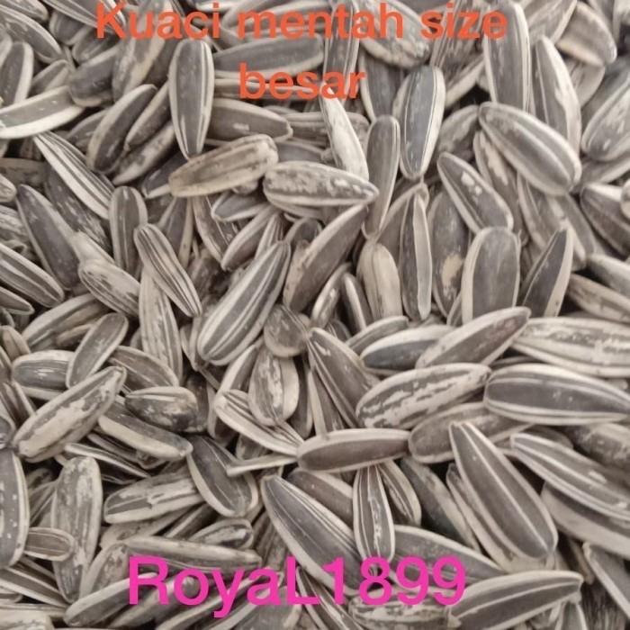 Kuaci Parrot Kwaci Jumbo Sangrai / Mentah Paruh Bengkok Macaw Kakatua