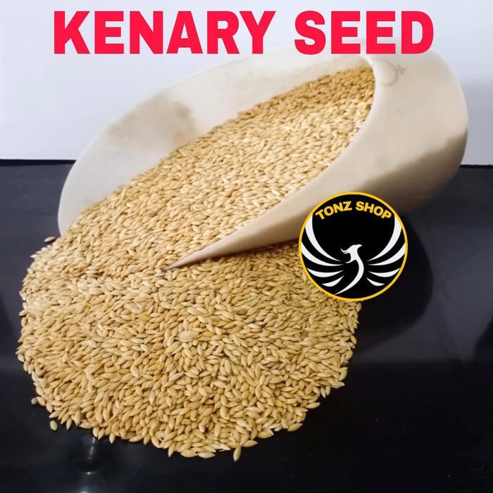 Canary Seed 1Kg/Canary Seed Repack Merk Vita/Makana Kenari