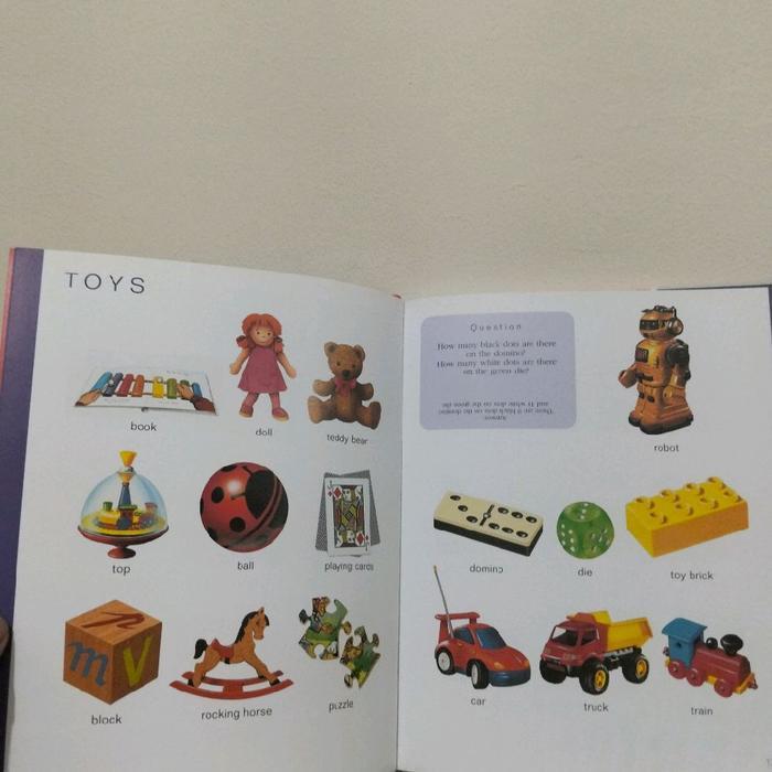 SCHOLASTIC: FIRST PICTURE DICTIONARY