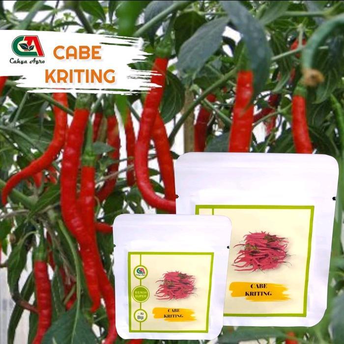 35 Biji Benih Cabe Merah Keriting