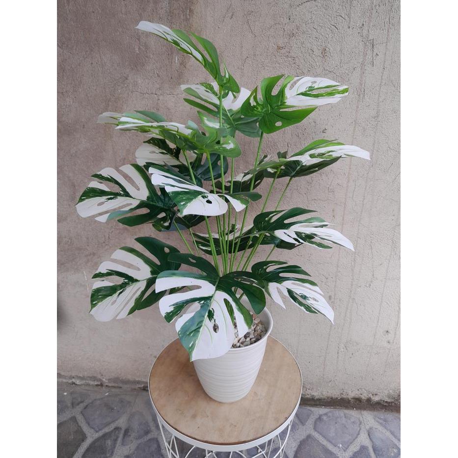 Tanaman Palsu Monstera Variegata 18 Cabang(Sudah Termasuk Pot) Plastik Bunga