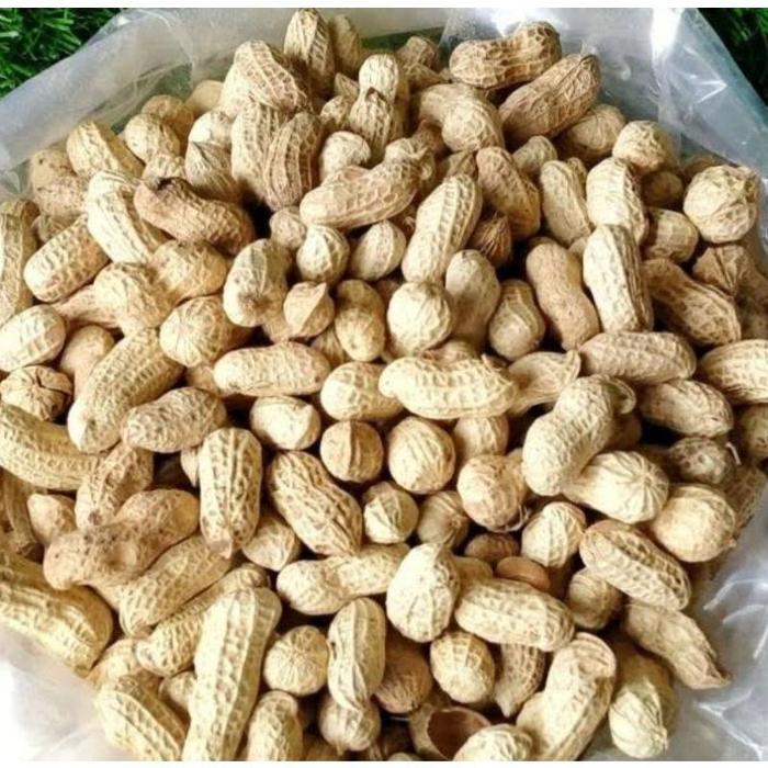 Cod 1 Kg Aneka Snack Cemilan Kiloan Jajanan Lebaran Astor Kacang Koro Basreng Usus Sale Emping Bunga