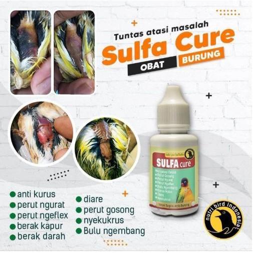 ASLI SULFA CURE NUTRIBIRD MENGATASI MASALAH PENCERNAAN BURUNG MURAI PLECI LOVEBIRD DLL READY STOCK